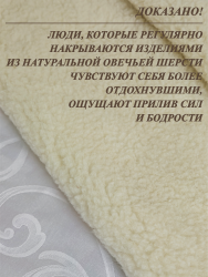 Одеяло детское двустороннее LANATEX  из натуральной овечьей шерсти. Арт. 933 - фото