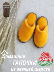 ​Обувь домашняя пантолеты(тапки) LANATEX арт 22168 - фото